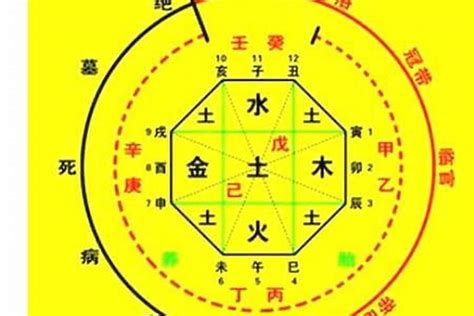 忌木|八字入门基础 第六篇 如何判断八字喜用神